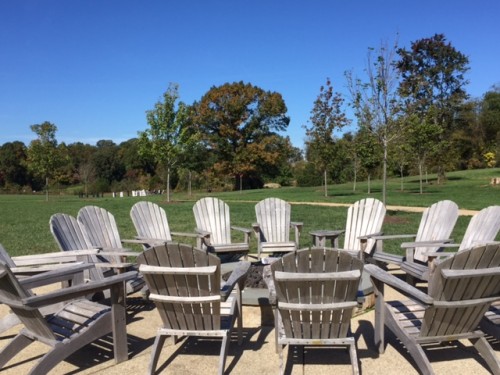 Fall Color Rooms | Shannon Bieter Interiors